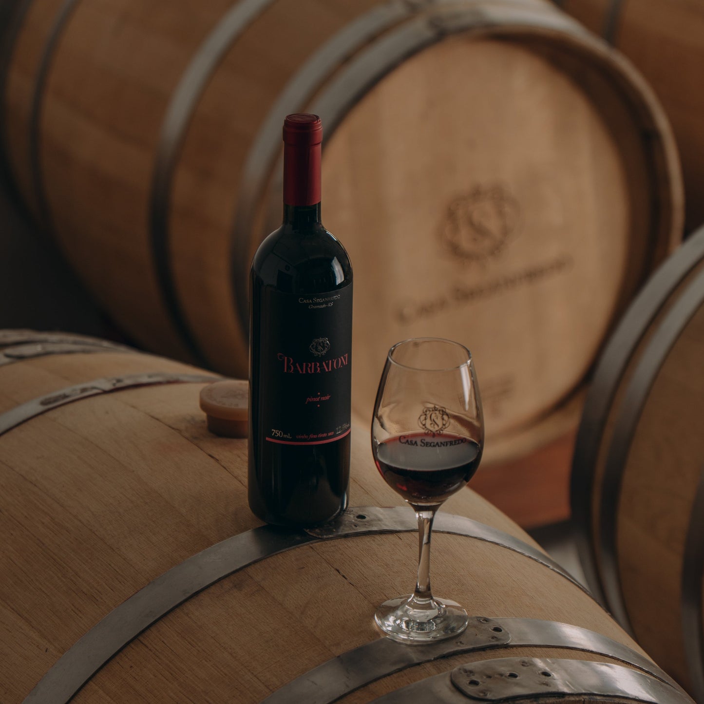 Vinho Barbatoni Pinot Noir