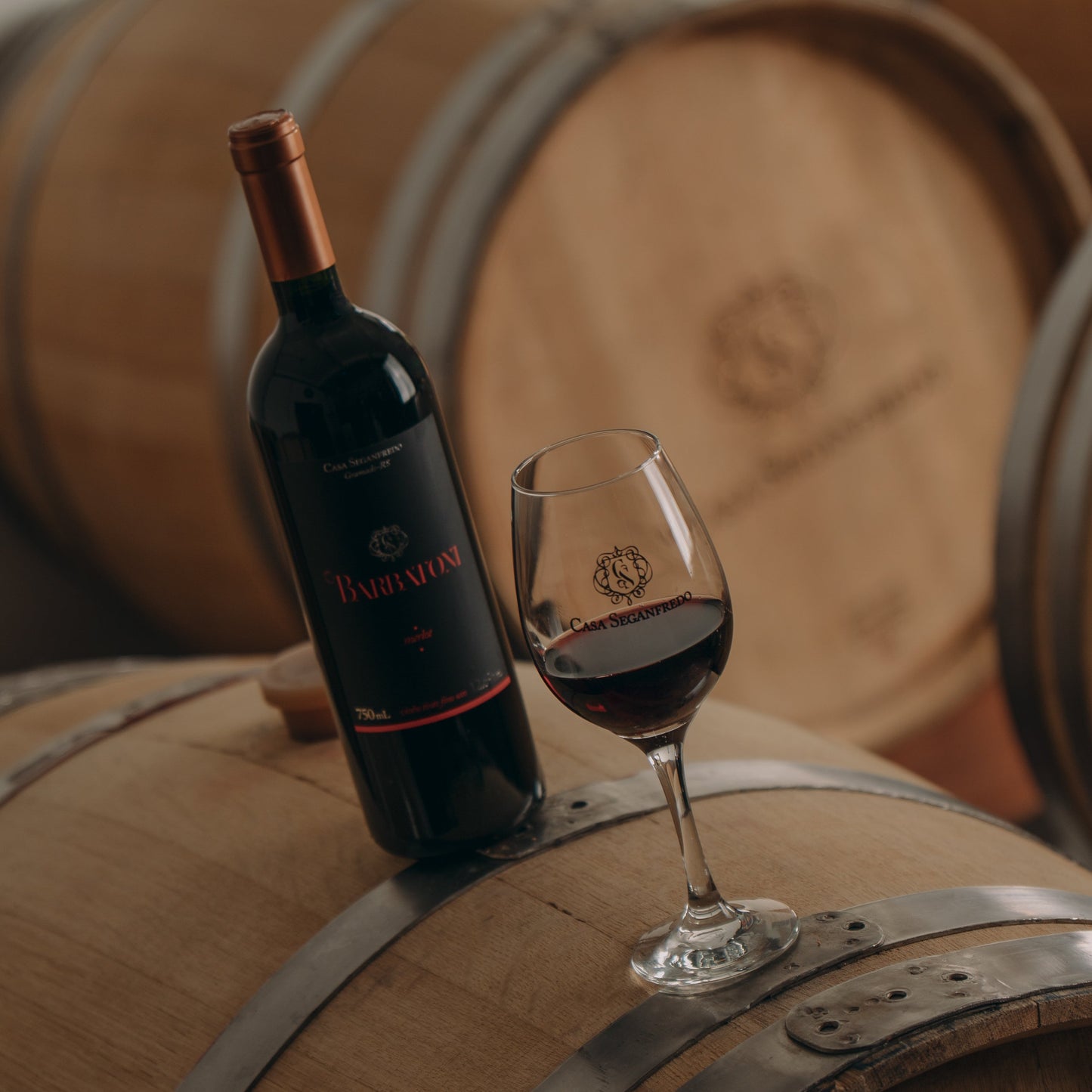 Vinho Barbatoni Merlot