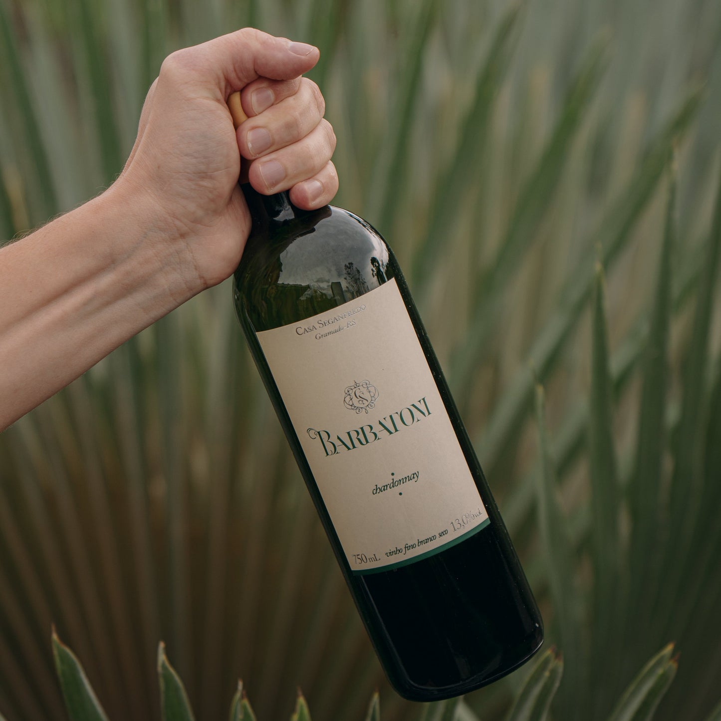 Vinho Branco Seco Fino Barbatoni Chardonnay