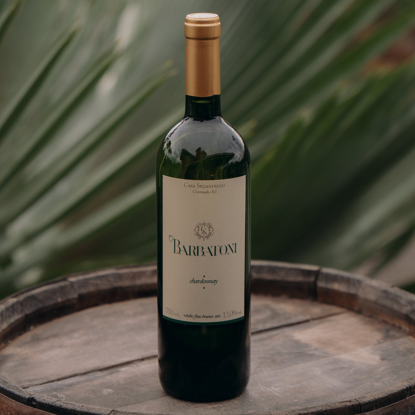 Vinho Branco Seco Fino Barbatoni Chardonnay