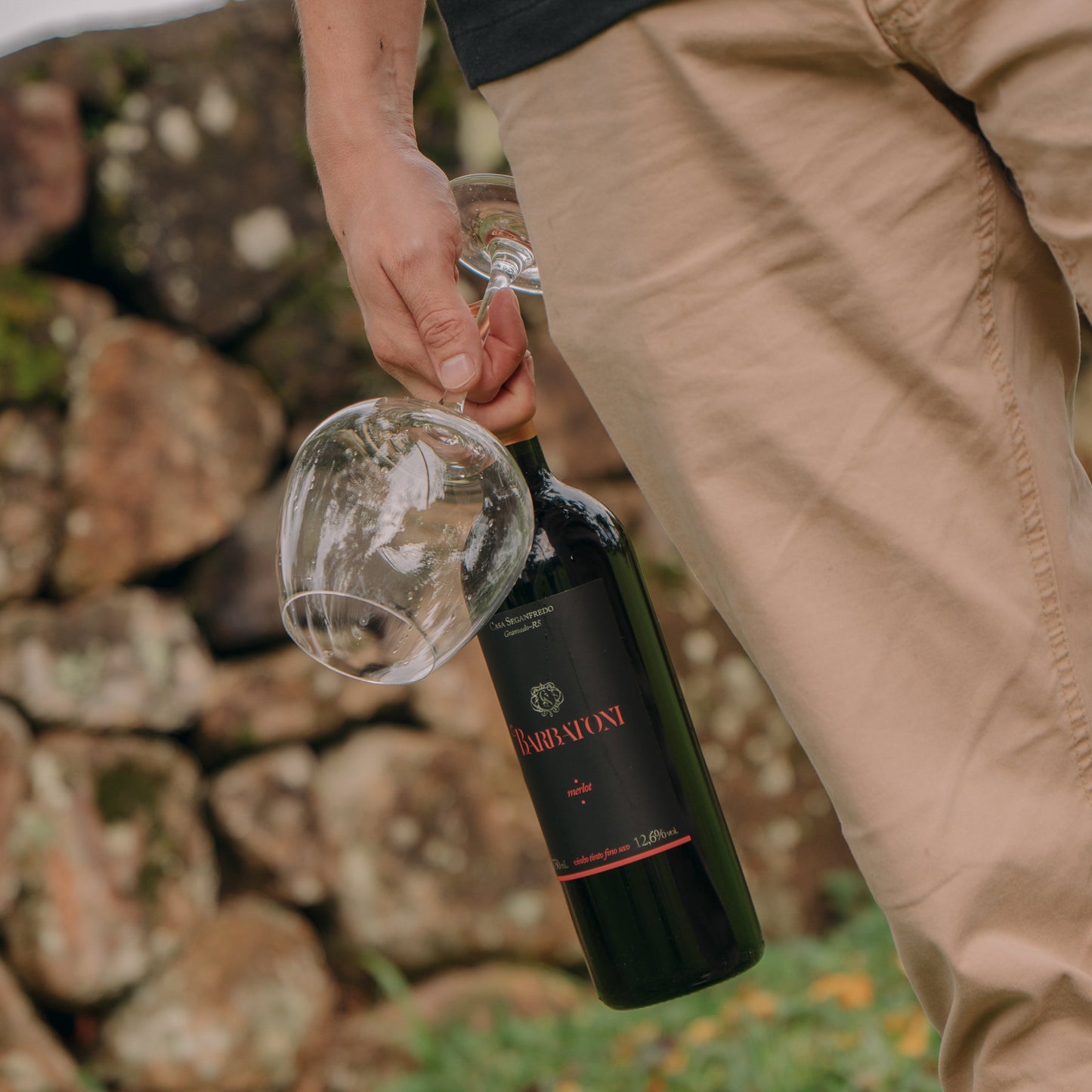 Vinho Barbatoni Merlot