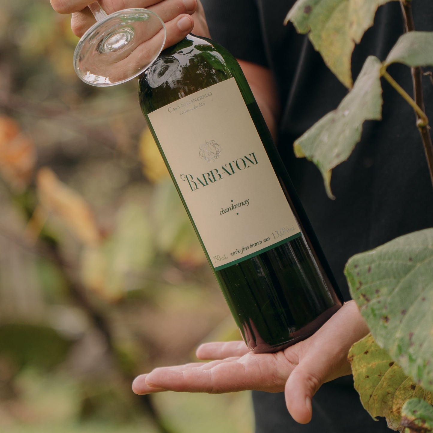 Vinho Branco Seco Fino Barbatoni Chardonnay