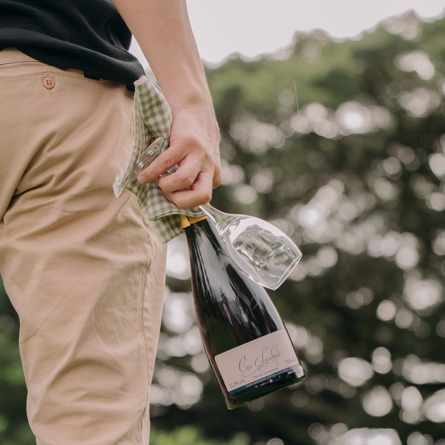 Espumante Casa Seganfredo Brut Rosé