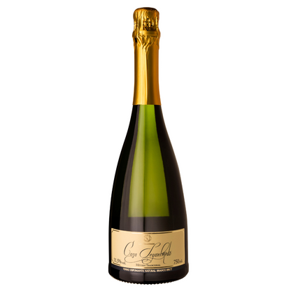 Espumante Casa Seganfredo Branco Brut